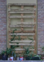 /album/living-wood/dsc02077-jpg/